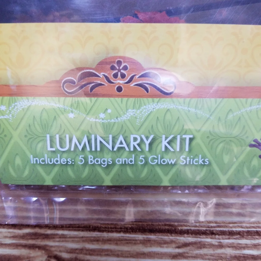 Disney Frozen Luminary Bag Kit Fall Halloween Party Decorations Glow Pumpkins